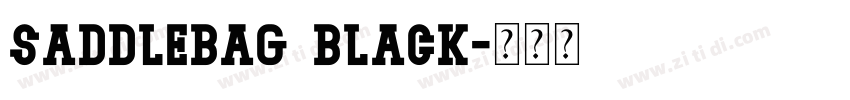 Saddlebag Black字体转换